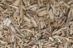 biomass boilers Pymoor